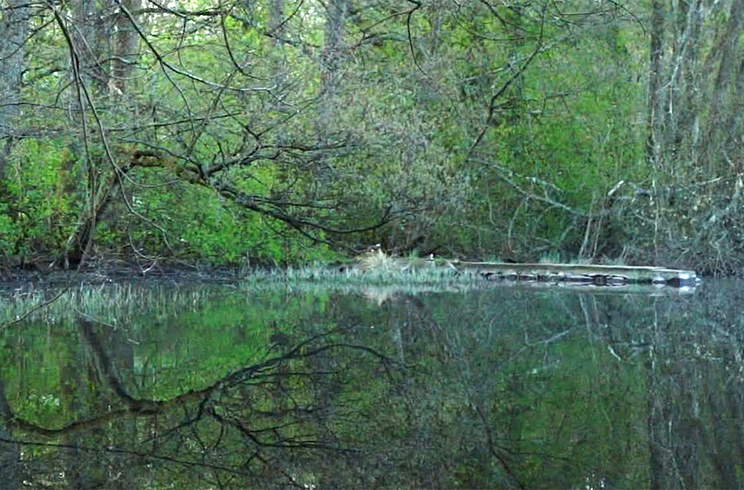 The River, Rivers (2026)